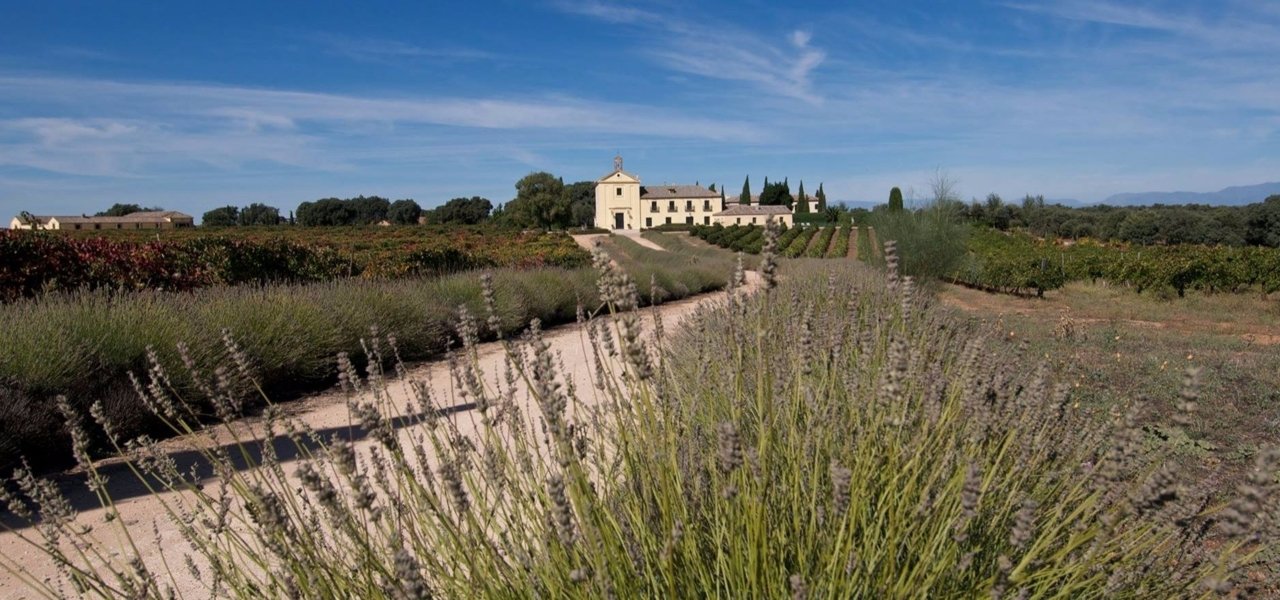 visit Dominio de Valdepusa